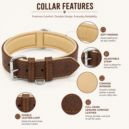 Padded Leather Dog Collar