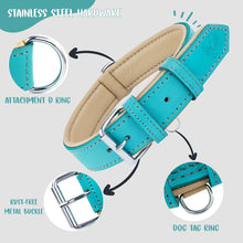 Load image into Gallery viewer, Riparo Genuine Leather Padded Dog Collar - Aqua