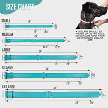 Load image into Gallery viewer, Riparo Genuine Leather Padded Dog Collar - Aqua