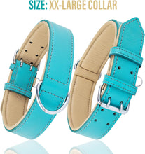 Load image into Gallery viewer, Riparo Genuine Leather Padded Dog Collar - Aqua