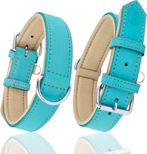 Load image into Gallery viewer, Riparo Genuine Leather Padded Dog Collar - Aqua