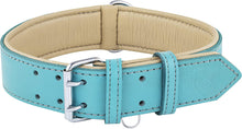 Load image into Gallery viewer, Riparo Genuine Leather Padded Dog Collar - Aqua