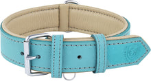 Load image into Gallery viewer, Riparo Genuine Leather Padded Dog Collar - Aqua