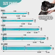 Load image into Gallery viewer, Riparo Genuine Leather Padded Dog Collar - Aqua