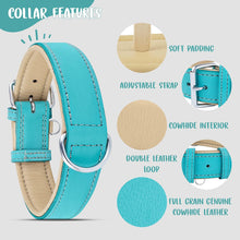 Load image into Gallery viewer, Riparo Genuine Leather Padded Dog Collar - Aqua