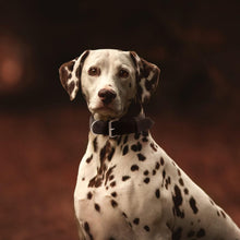 Load image into Gallery viewer, Dog Collar - Genuine Leather Dog Collar - Heavy Duty Hardware for Large and Extra Large Dog Breeds - Black