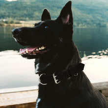 Load image into Gallery viewer, Dog Collar - Genuine Leather Dog Collar - Heavy Duty Hardware for Large and Extra Large Dog Breeds - Black