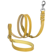 Load image into Gallery viewer, Riparo Heavy Duty Leather Braided Dog Leash with 2 Handles,Padded Traffic Handle for Extra Control, 6 Foot Dog Training Walking Leashes for Medium Large Dogs - Camel