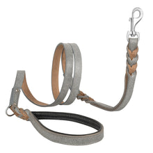 Load image into Gallery viewer, Riparo Heavy Duty Leather Braided Dog Leash with 2 Handles,Padded Traffic Handle for Extra Control, 6 Foot Dog Training Walking Leashes for Medium Large Dogs - Grey