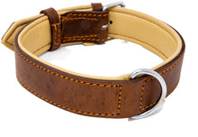 Load image into Gallery viewer, Riparo Genuine Leather Padded Dog Collar - Brown