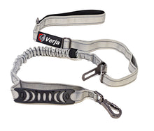 Load image into Gallery viewer, Dog Leash with Padded Handle, Multifunctional Dog Leashes for Medium & Large Dogs with Car Seat Belt, Reflective Threads, 4-6 FT Bungee Dog Leash - Grey
