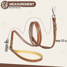 Load image into Gallery viewer, Riparo Heavy Duty Leather Braided Dog Leash with 2 Handles,Padded Traffic Handle for Extra Control, 6 Foot Dog Training Walking Leashes for Medium Large Dogs - Brown