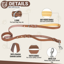 Load image into Gallery viewer, Riparo Heavy Duty Leather Braided Dog Leash with 2 Handles,Padded Traffic Handle for Extra Control, 6 Foot Dog Training Walking Leashes for Medium Large Dogs - Brown