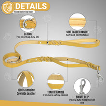 Load image into Gallery viewer, Riparo Heavy Duty Leather Braided Dog Leash with 2 Handles,Padded Traffic Handle for Extra Control, 6 Foot Dog Training Walking Leashes for Medium Large Dogs - Camel