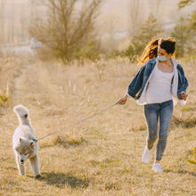 Load image into Gallery viewer, Riparo Heavy Duty Leather Braided Dog Leash with 2 Handles,Padded Traffic Handle for Extra Control, 6 Foot Dog Training Walking Leashes for Medium Large Dogs - Grey