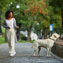 Load image into Gallery viewer, Riparo Heavy Duty Leather Braided Dog Leash with 2 Handles,Padded Traffic Handle for Extra Control, 6 Foot Dog Training Walking Leashes for Medium Large Dogs - Grey