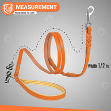 Load image into Gallery viewer, Riparo Heavy Duty Leather Braided Dog Leash with 2 Handles,Padded Traffic Handle for Extra Control, 6 Foot Dog Training Walking Leashes for Medium Large Dogs - Orange