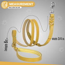 Load image into Gallery viewer, Riparo Heavy Duty Leather Braided Dog Leash with 2 Handles,Padded Traffic Handle for Extra Control, 6 Foot Dog Training Walking Leashes for Medium Large Dogs - Camel