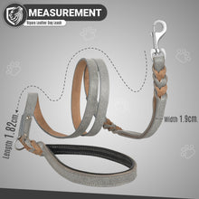 Load image into Gallery viewer, Riparo Heavy Duty Leather Braided Dog Leash with 2 Handles,Padded Traffic Handle for Extra Control, 6 Foot Dog Training Walking Leashes for Medium Large Dogs - Grey