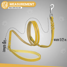 Load image into Gallery viewer, Riparo Heavy Duty Leather Braided Dog Leash with 2 Handles,Padded Traffic Handle for Extra Control, 6 Foot Dog Training Walking Leashes for Medium Large Dogs - Camel