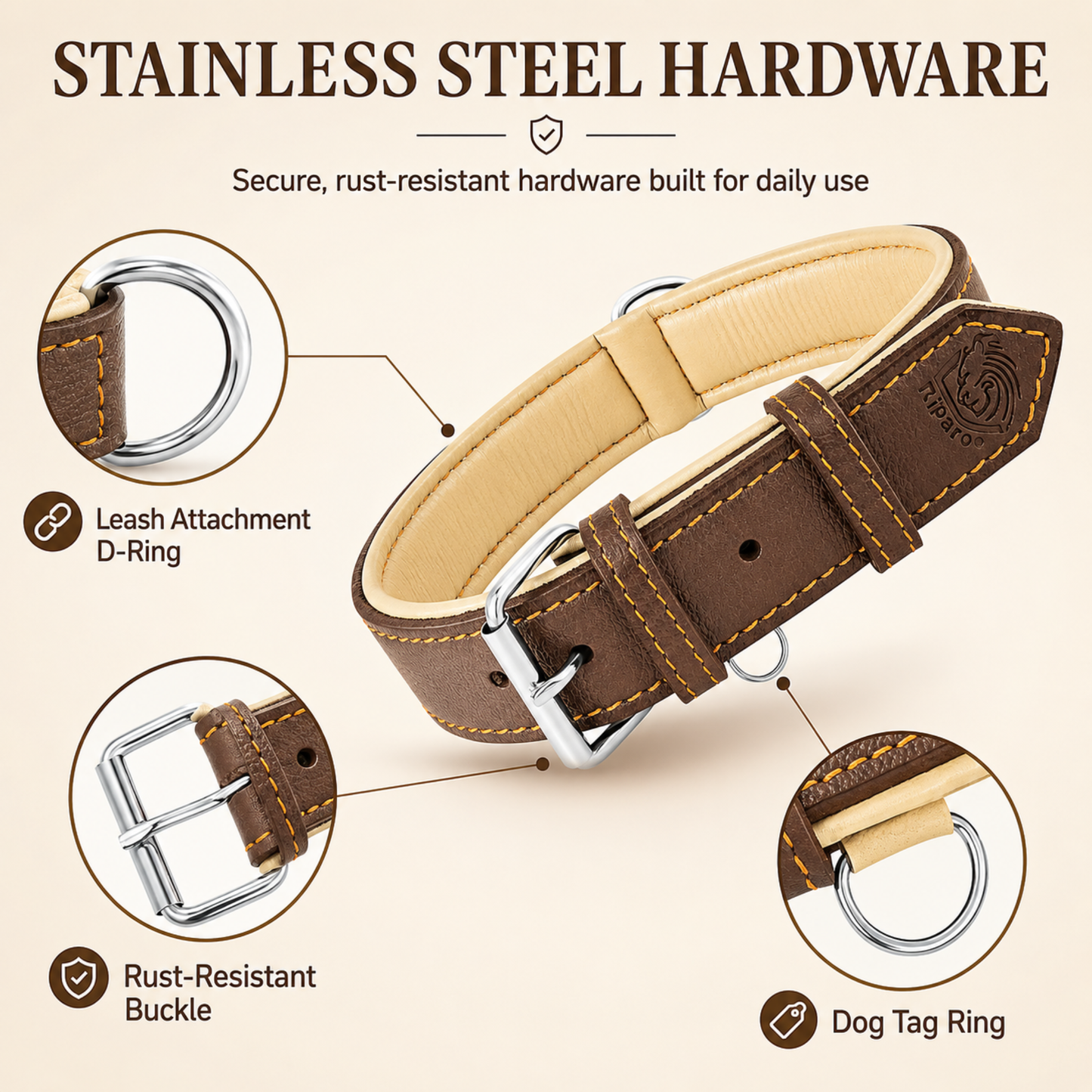 Padded Leather Dog Collar