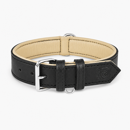 Padded Leather Dog Collar
