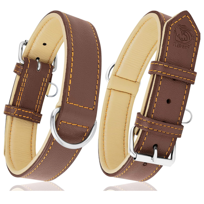 Padded Leather Dog Collar