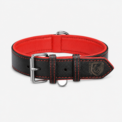 Padded Leather Dog Collar