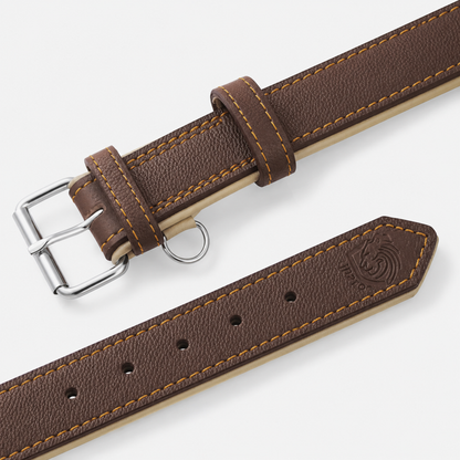 Padded Leather Dog Collar