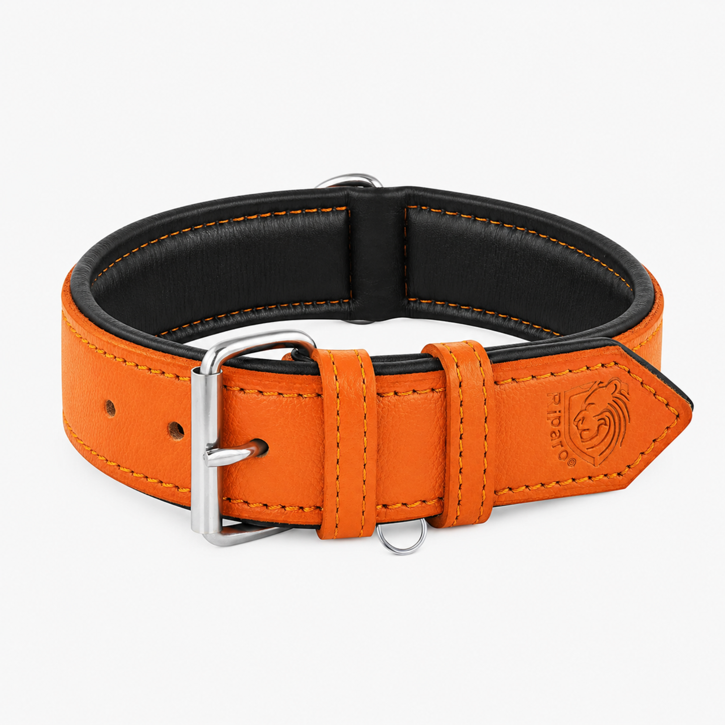 Padded Leather Dog Collar