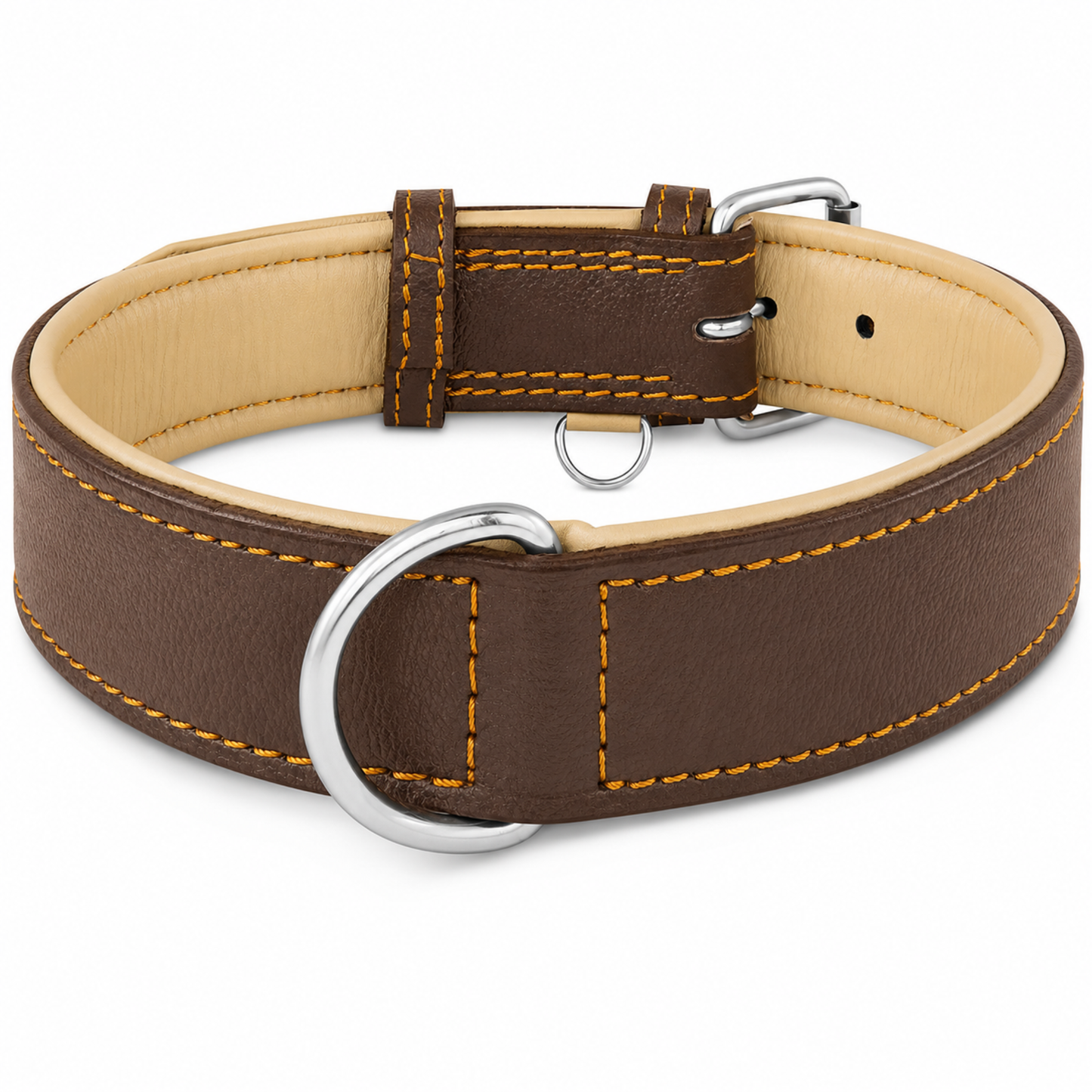 Padded Leather Dog Collar