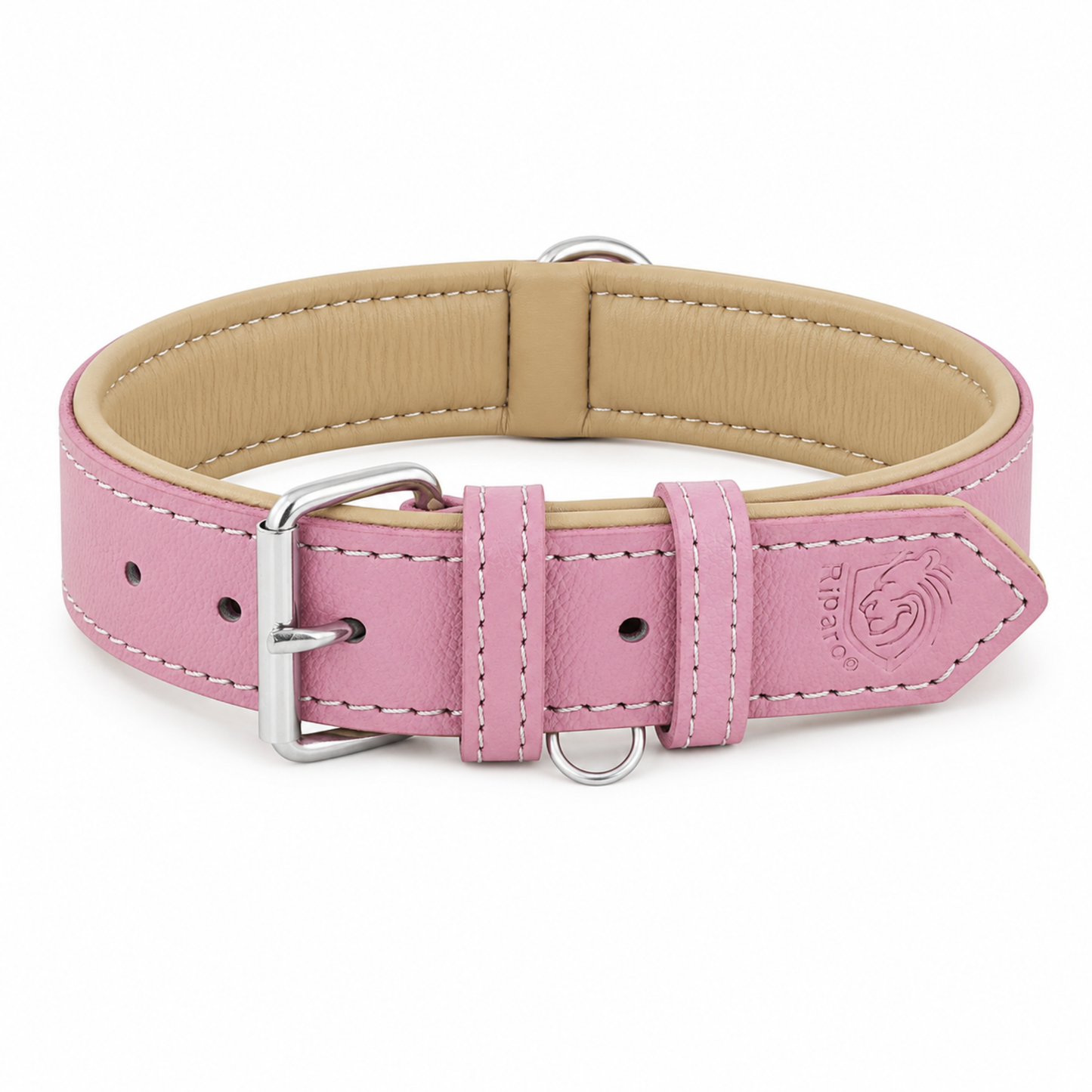 Padded Leather Dog Collar