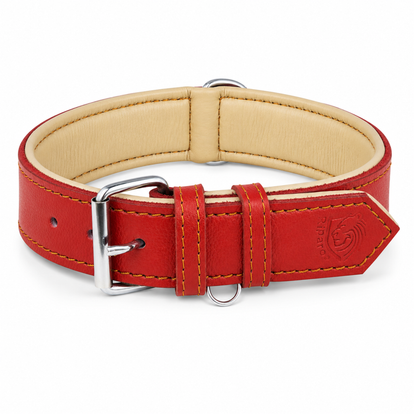Padded Leather Dog Collar