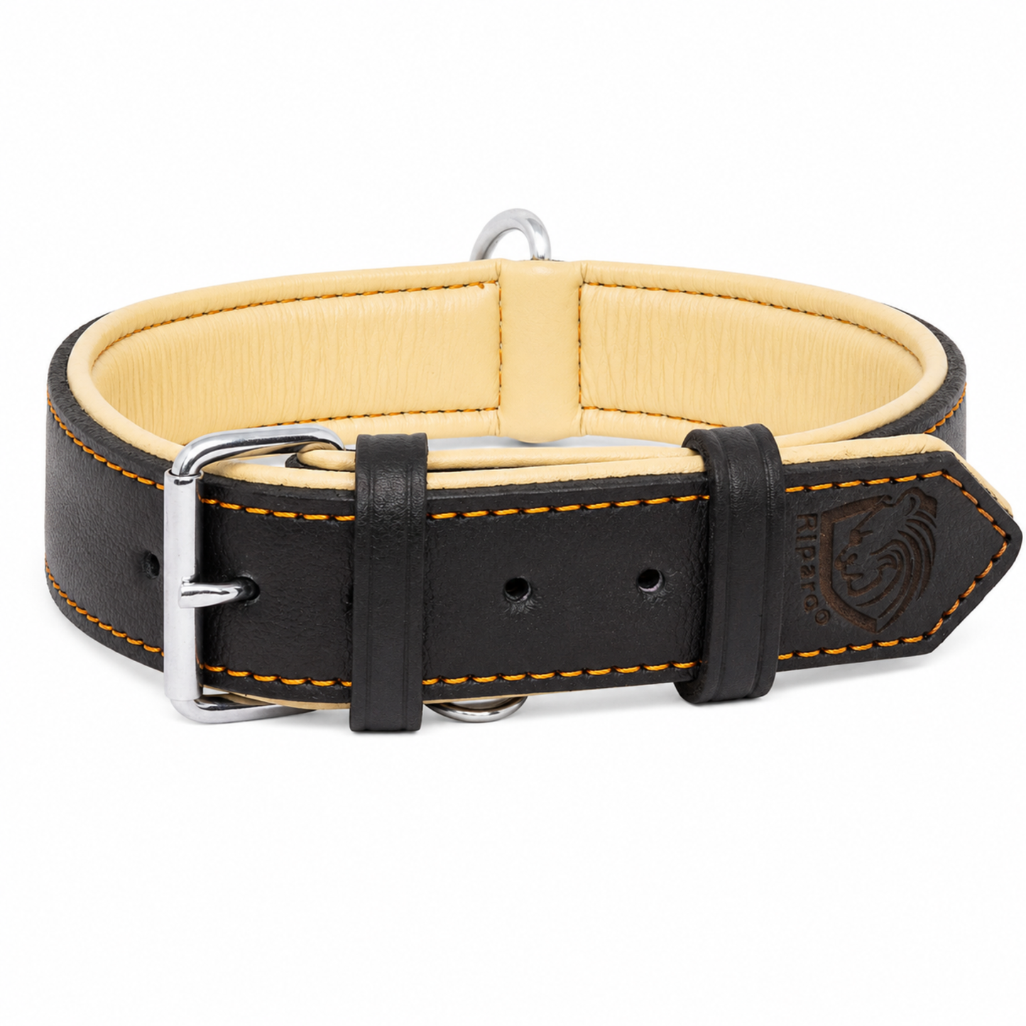 Padded Leather Dog Collar