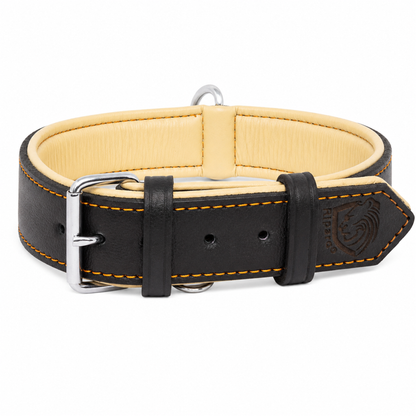 Padded Leather Dog Collar