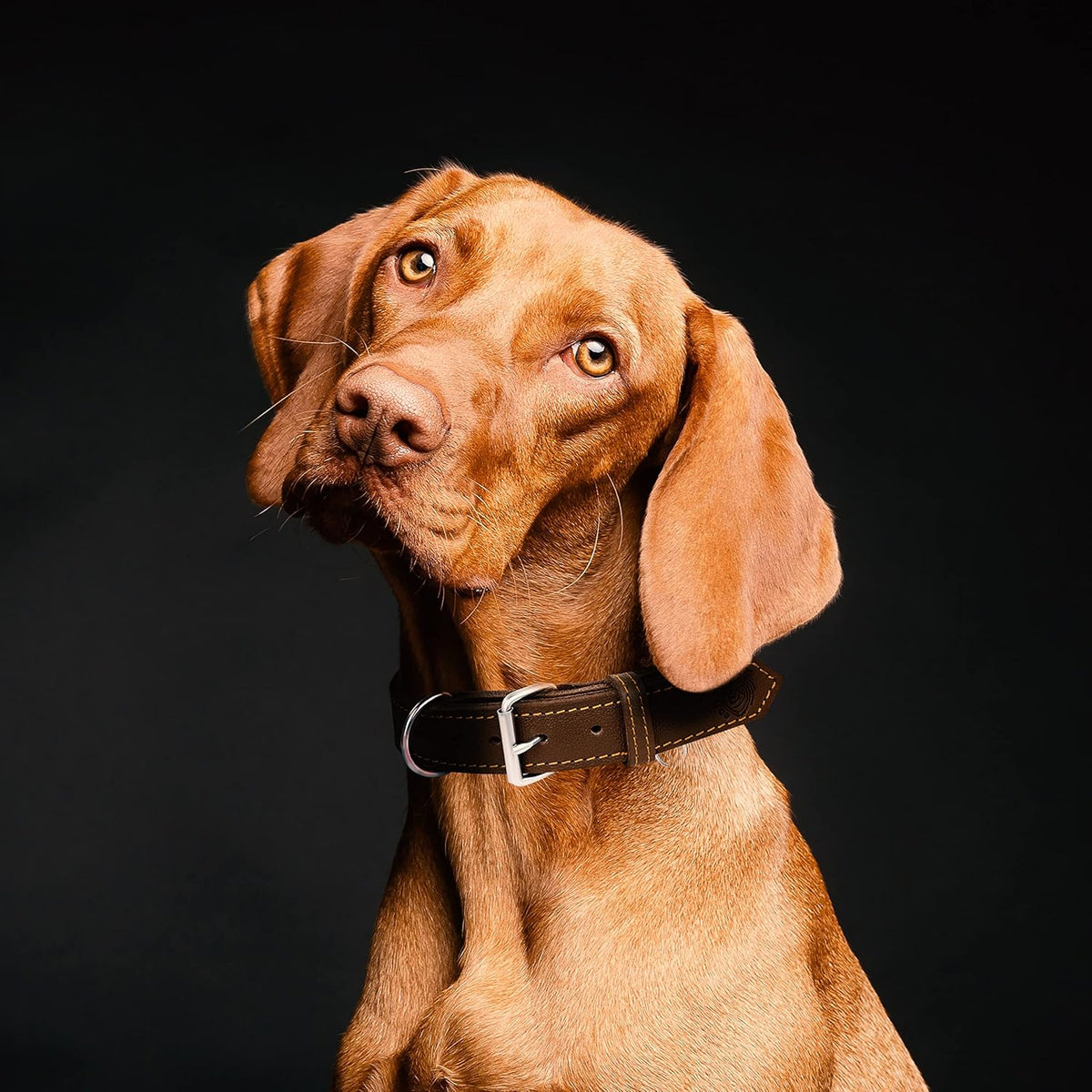 Dog Collar - Genuine Leather Dog Collar - Heavy Duty Hardware for Large and Extra Large Dog Breeds - Brown