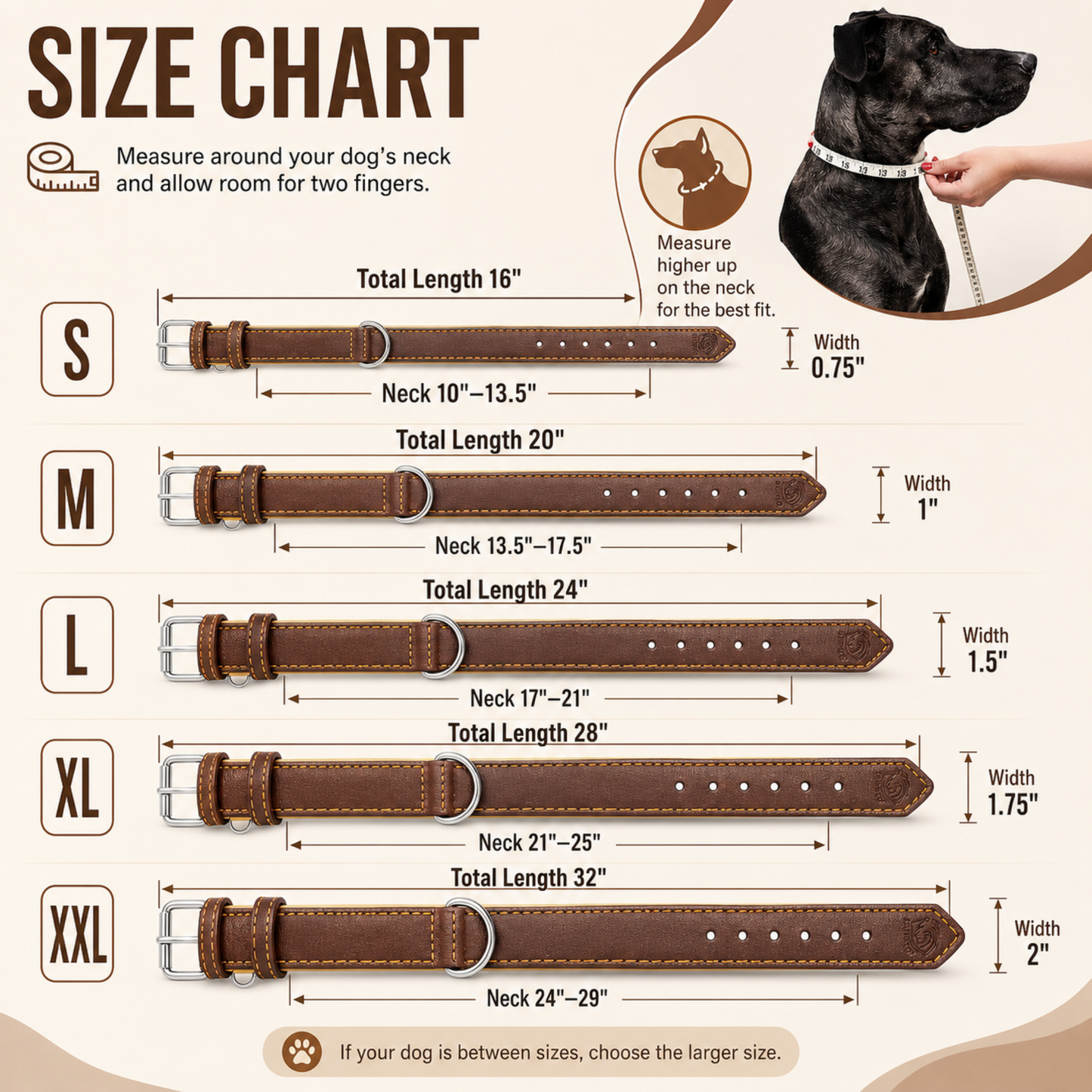 Padded Leather Dog Collar