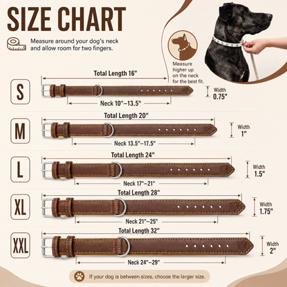Padded Leather Dog Collar