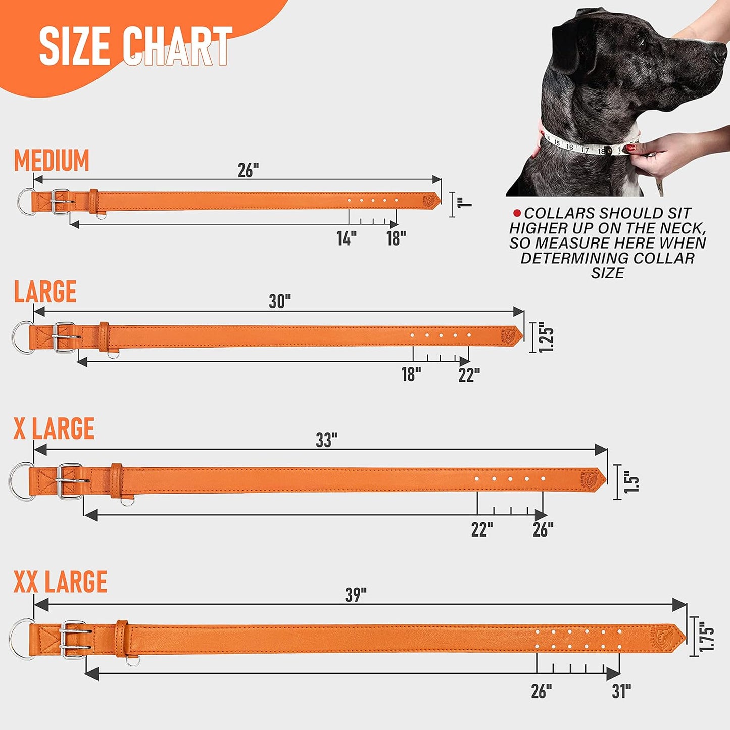 Dog Collar - Genuine Leather Dog Collar - Heavy Duty Hardware for Large and Extra Large Dog Breeds - Orange