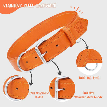 Dog Collar - Genuine Leather Dog Collar - Heavy Duty Hardware for Large and Extra Large Dog Breeds - Orange