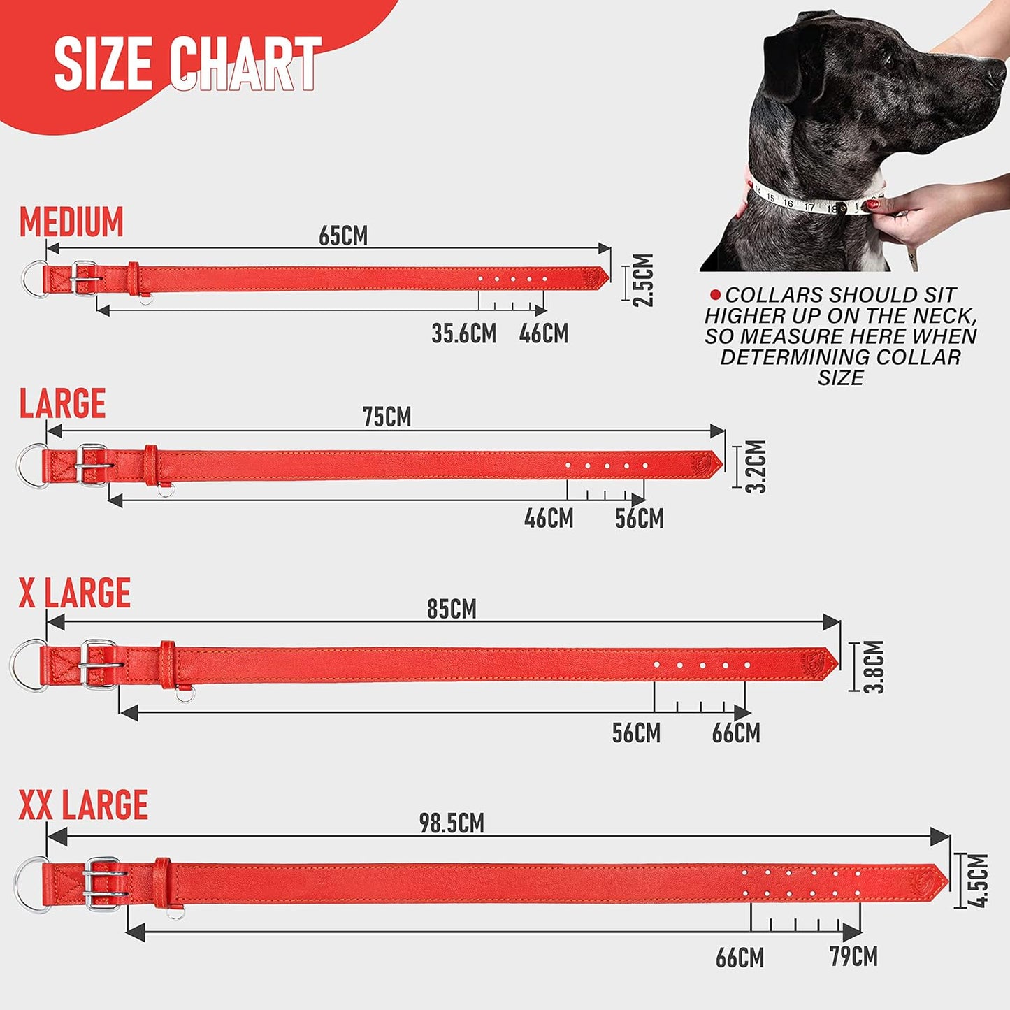 Dog Collar - Genuine Leather Dog Collar - Heavy Duty Hardware for Large and Extra Large Dog Breeds - Red