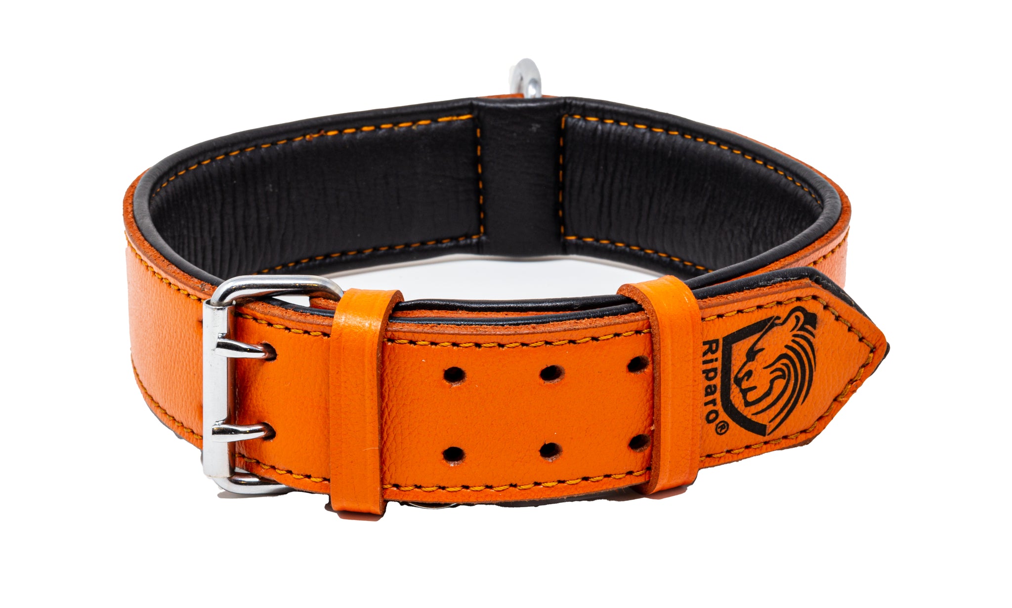 Orange Dog Collar with Dark Brown Leather + Orange Crest Stitching