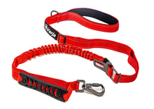 Load image into Gallery viewer, Dog Leash with Padded Handle, Multifunctional Dog Leashes for Medium &amp; Large Dogs with Car Seat Belt, Reflective Threads, 4-6 FT Bungee Dog Leash - Red
