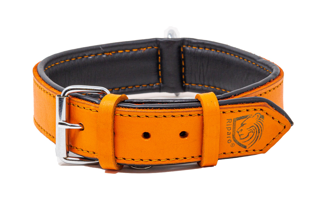Riparo Genuine Leather Padded Dog Collar - Orange