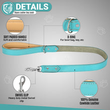 Load image into Gallery viewer, Riparo Heavy Duty Leather Dog Leash with Padded Handle, 3FT Long Dog Lead, 1.25IN Wide Dog Training Walking Leashes for Medium Large Dogs - Aqua
