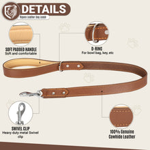 Load image into Gallery viewer, Riparo Heavy Duty Leather Dog Leash with Padded Handle, 3FT Long Dog Lead, 1.25IN Wide Dog Training Walking Leashes for Medium Large Dogs - Brown
